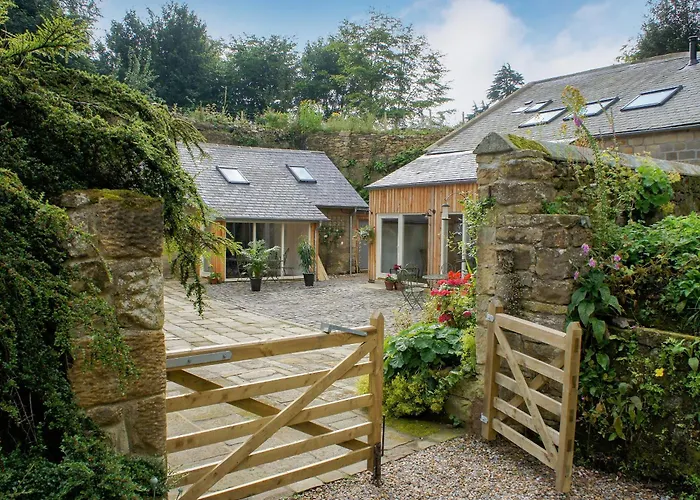Swansfield Stables